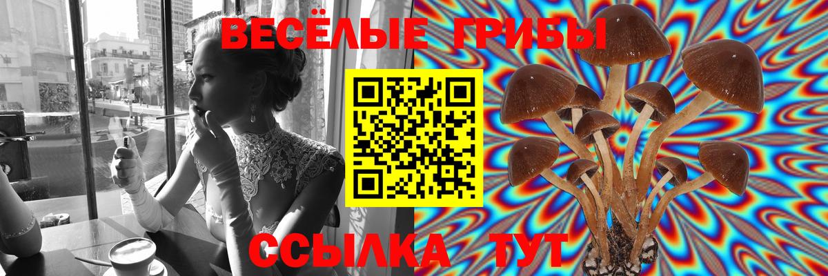 Псилоцибиновые грибы MAGIC MUSHROOMS  Псилоцибиновые грибы мицелий  Вход с VPN  Белореченск 